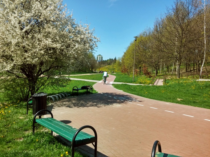 Park, Lublin Czuby